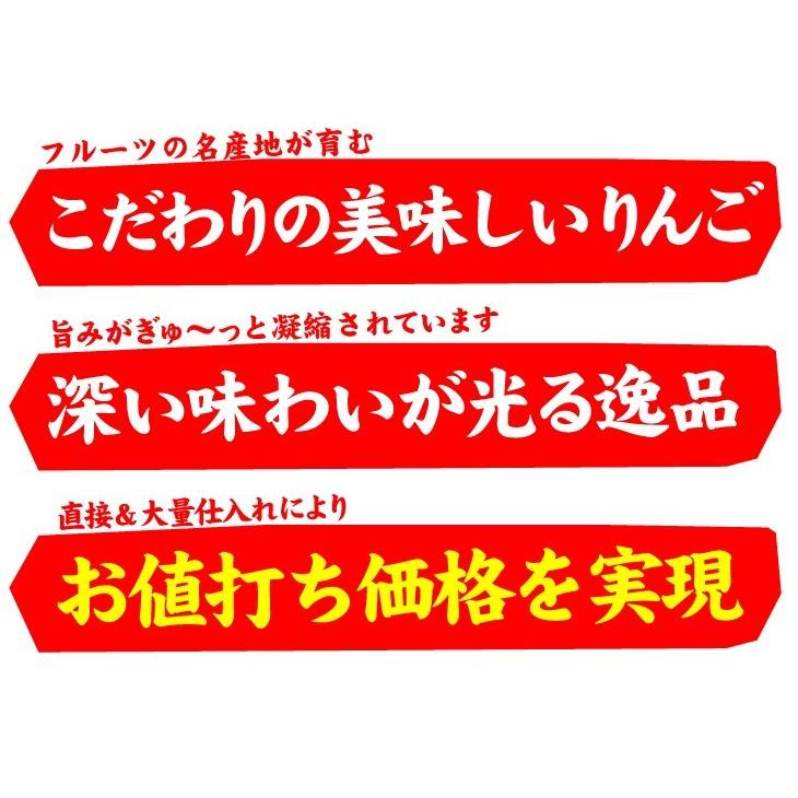 りんご 10kg 青森産 世界一 ご家庭用 送料無料 食品