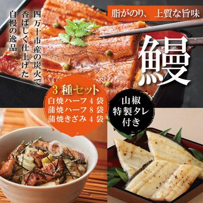 ふるさと納税 四万十市 うなぎ蒲焼　ハーフ8袋 きざみ4袋 白焼ハーフ4袋 F