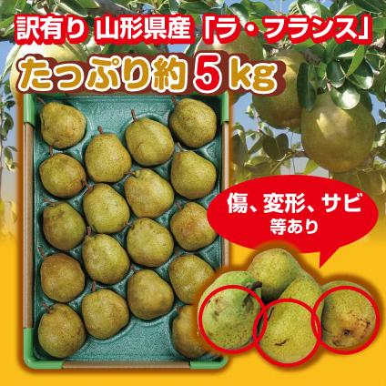 ラ・フランス 訳有り 送料無料 洋梨 山形県産 約5kg（サイズおまかせ）ラフランス