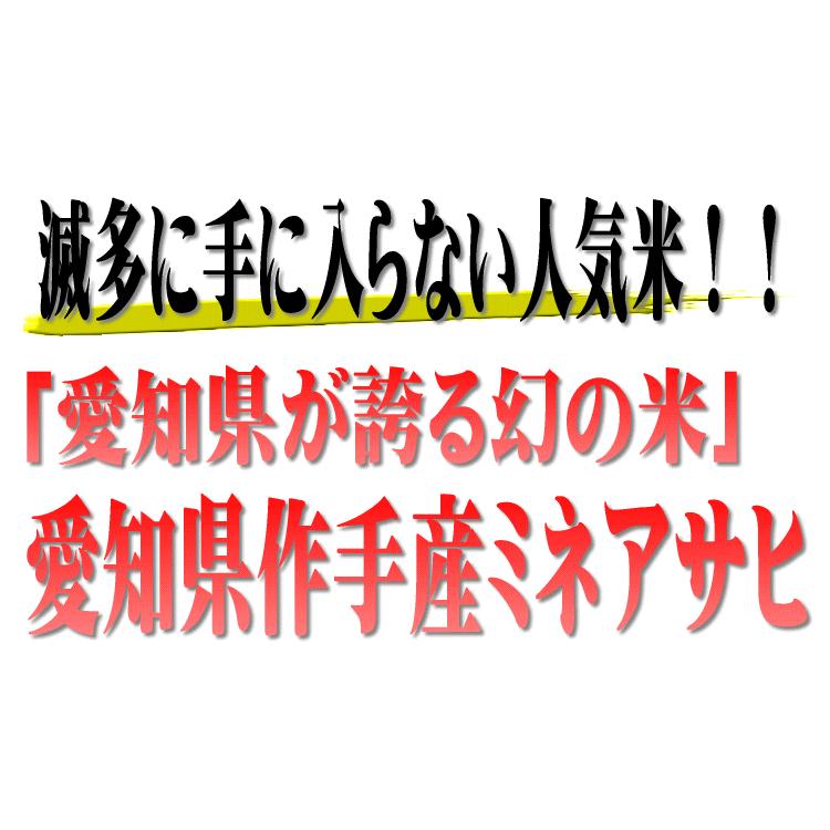 新米入荷！愛知県作手産ミネアサヒ　10kg(5kg×2) 