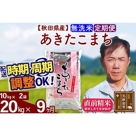 ふるさと納税 《定期便9ヶ月》＜新米＞秋田県産 あきたこまち 20kg(10kg袋) 令和5年産 お届け時期選べる 隔月お届けOK お米 みそら.. 秋田県北秋田市