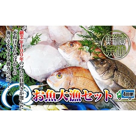 ふるさと納税 創業100年の魚屋さんが選び抜いた旨い鮮魚直送便〜 香川県坂出市