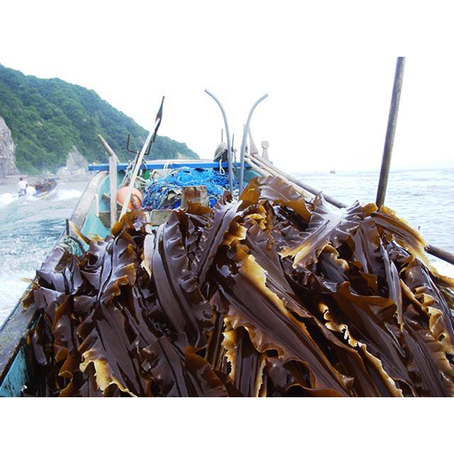 特選 天然日高昆布 300g 化粧箱入り (北海道産こんぶ)