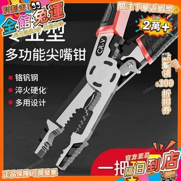免運費🚀德力西剝線鉗多功能電工鉗剪線鉗萬用鉗子拔線尖嘴鉗電工專用工具SGQ