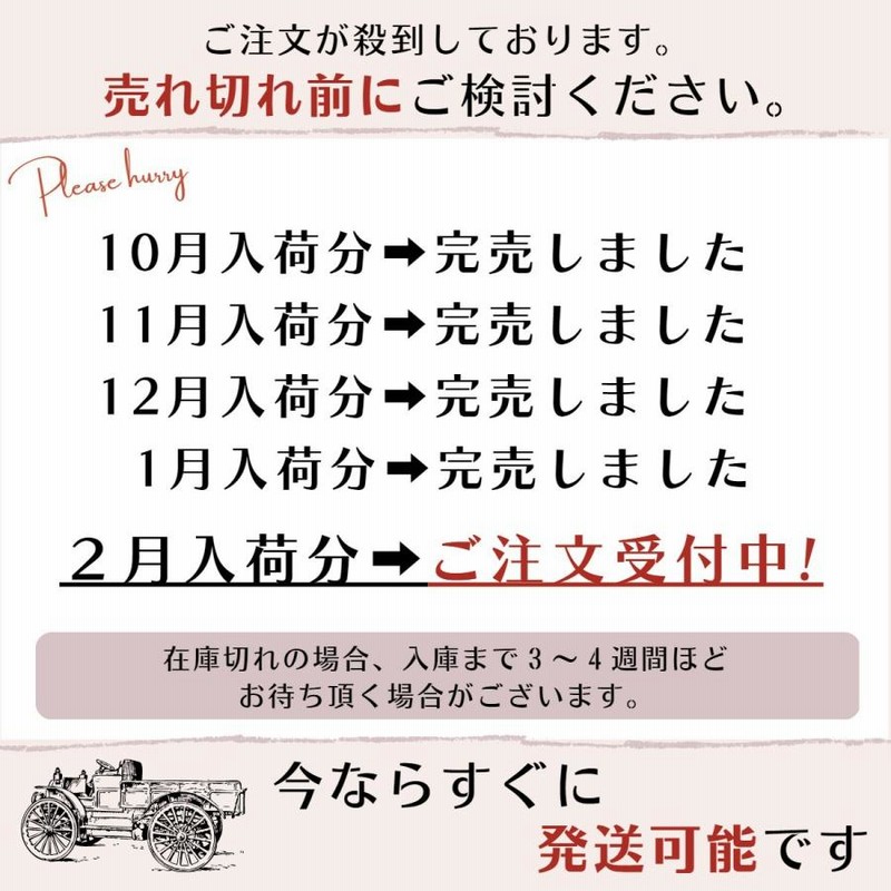 輝い <br>アイリス ファインプロダクツ<br>JF 貼るぬくっ子 レギュラーサイズ 10個入×3袋セット カイロ  ※30個入箱の分割個包装でのお届けとなる場合があります 外箱は開封した状態でお届け
