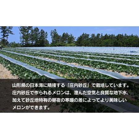 ふるさと納税 お楽しみメロン３玉セット 2Lサイズ 山形県 庄内産 砂丘メロン 三昧 アンデスメロン・鶴姫メロン・鶴姫レッ.. 山形県鶴岡市