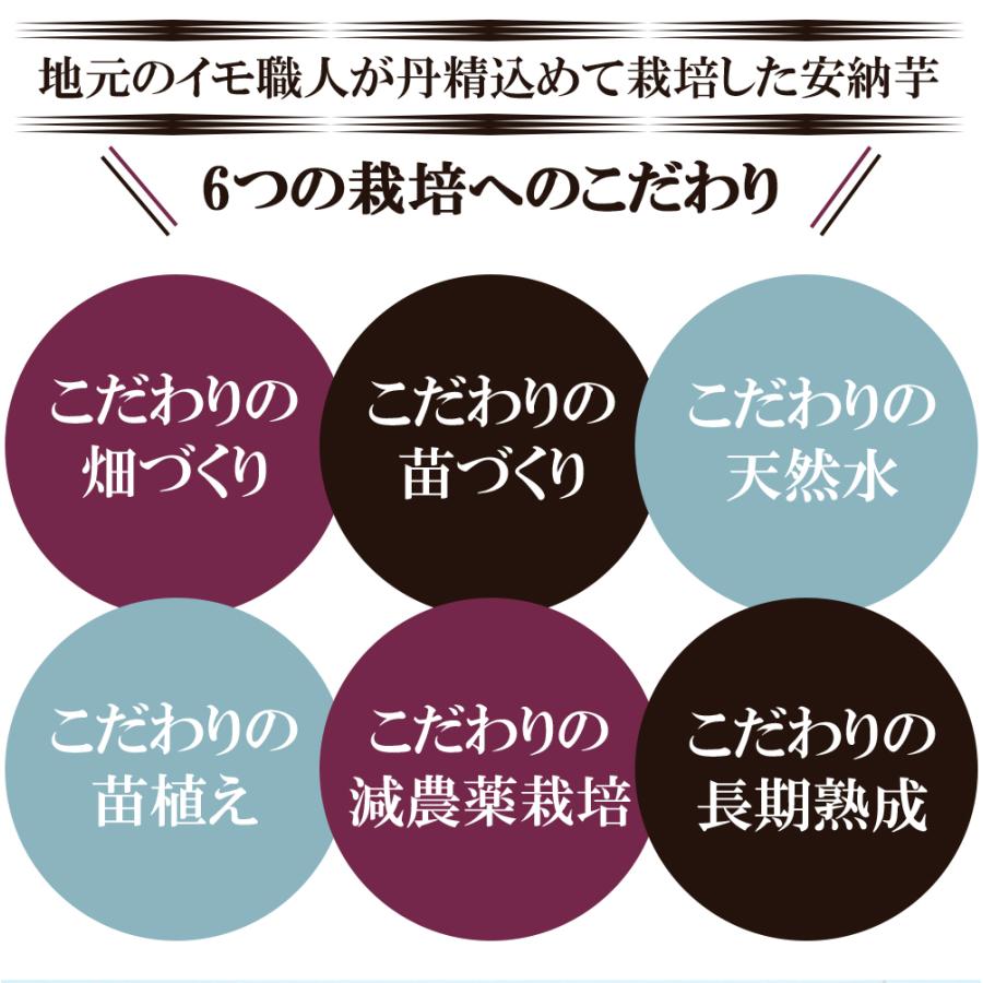 安納芋 5kg 送料無料 安納いも 安納イモ 産地直送 産直 土付き さつまいも さつま芋 薩摩芋 焼きいも 焼き芋 鹿児島県産 FJK-002