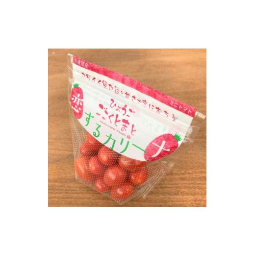 ふるさと納税 兵庫県 加西市 トマト 2種 食べ比べ （ カリーナ ・ 天然水トマト ）計10パック