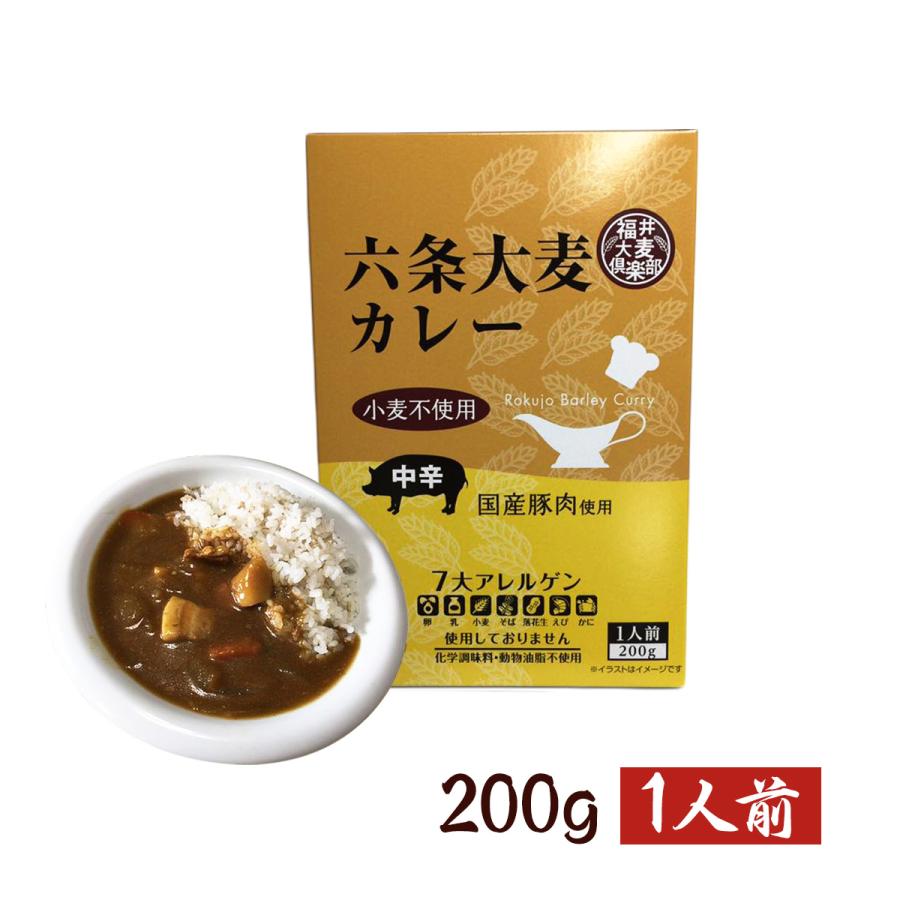 送料無料　福井大麦倶楽部 レトルト六条大麦カレー　中辛　国産豚肉使用　非常食　お取り寄せ グルメ