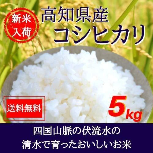 新米 令和3年産 5kg 高知県産コシヒカリ お米