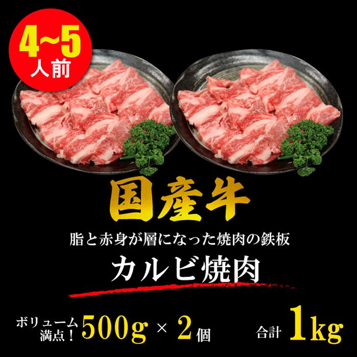 国産牛 カルビ 焼肉 4~5人 1kg (500g*2パック) やきにく BBQ バーベキュー ギフト 贈り物 プレゼント お歳暮 お中元 内祝い 贈答