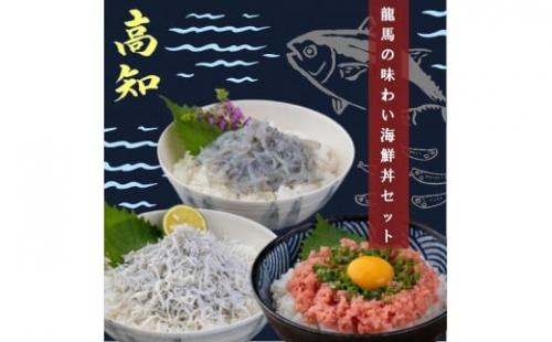 龍馬の味わい海鮮丼セット