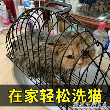 洗貓籠貓吹風籠子洗貓神器防抓咬吹干貓洗澡籠外出固定籠貓咪用品 雙11全館免運