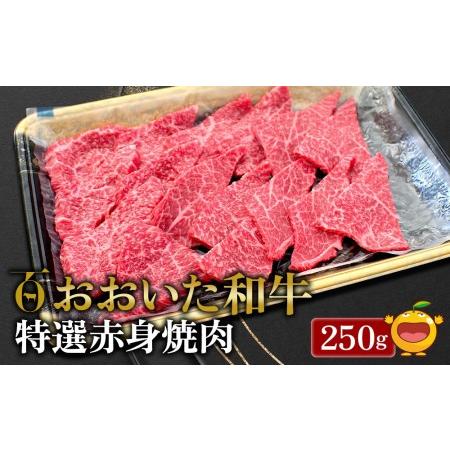 ふるさと納税 おおいた和牛 特選赤身焼肉 250g 牛肉 和牛 ブランド牛 ミスジ サンカク もも肉 赤身肉 焼き肉 焼肉 バーベキュー 大分県産 九州.. 大分県津久見市