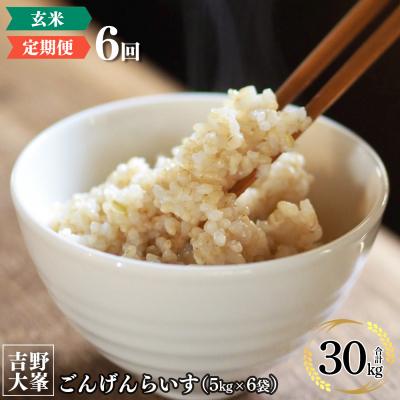 ふるさと納税 吉野町 奈良のお米のお届け便　5kg×6回分 玄米