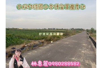 七股竹橋國小旁便宜置產農地林惠麗｜台南市七股區竹橋段