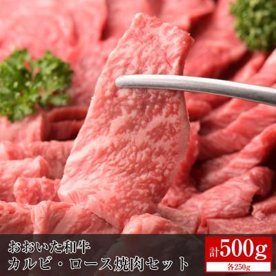 ふるさと納税 日出町 おおいた和牛カルビ・ロース焼肉セット