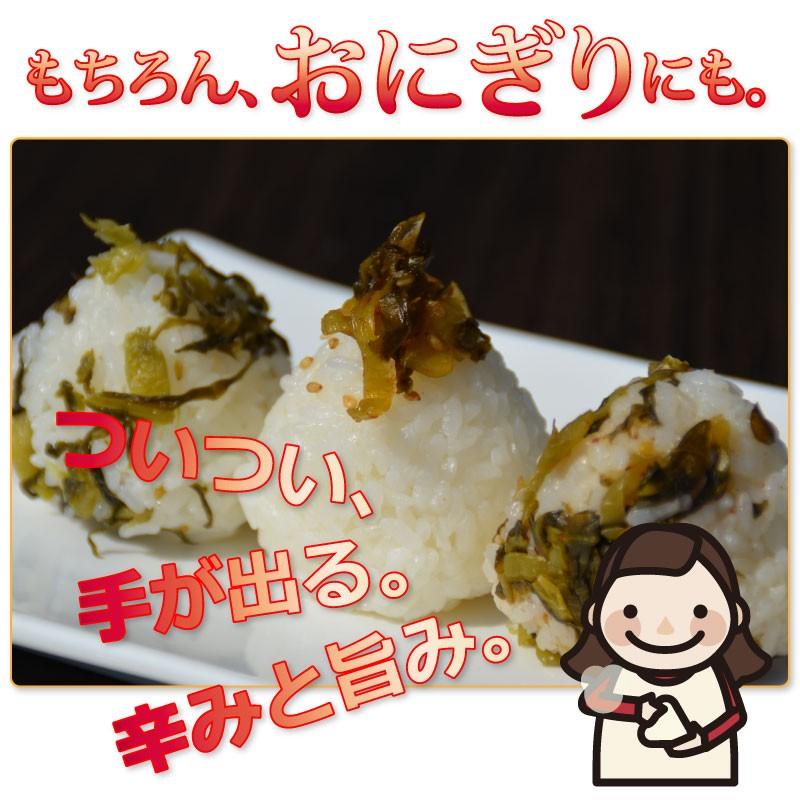 ＜からし高菜100g＞ 辛子高菜 たかな