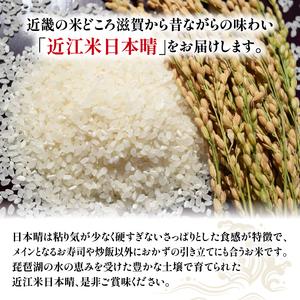 ふるさと納税 令和5年産 日本晴 10kg 全3回 近江米 新米 米粉 200g付 滋賀県竜王町