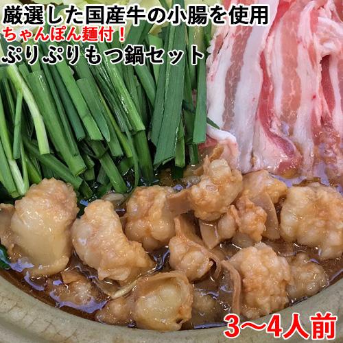 厳選した小腸を使用 国産牛のプリプリもつ鍋セット 3〜4人前 西日本畜産 送料無料