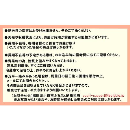 ふるさと納税 いちご職人 白木のいちご あまおうづくし 6回コース  福岡県小郡市