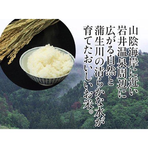 鳥取県産 白米 こしひかり（コシヒカリ）極太米（20kg）（10kg×2袋）令和4年産 常温