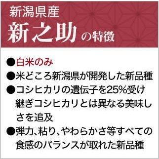 新米 令和5年(2023年) 産 新潟県の新ブランド 新之助 白米 2kg