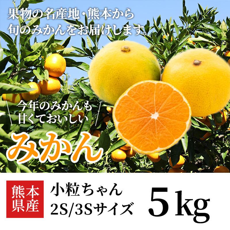 熊本産　みかん5kg 小粒ちゃん 送料無料 お取り寄せ ご家庭用 みかん