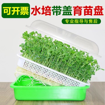 热销豆芽菜育苗盘芽苗菜种植盘带盖育苗盆纸上种菜菜籽水培架包邮 小艾時尚