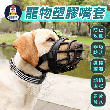 【寵星球】🔥出清中~寵物塑膠嘴套 網狀嘴套 寵物嘴套 狗嘴套 狗狗嘴罩 防咬 防亂吃 網狀嘴套 網狀口罩