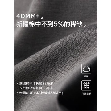 (免運)棉先生5系新疆精紡春季長袖t恤