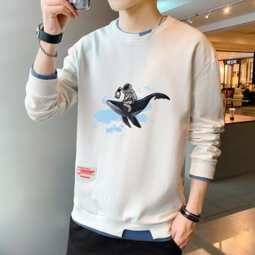 衛衣男士春秋款2023新款大碼外套無帽圓領長袖小眾情侶T恤上衣服