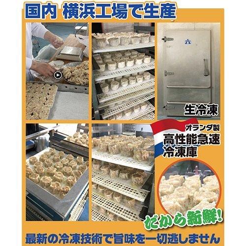 焼売 シュウマイ もちもち国産ジャンボ大宝焼売 15個x2パック 大きい もちもち 冷凍焼売 国産 豚肉 おつまみ 惣菜 中華惣菜 点心 中華 中華点心 お取り寄せ