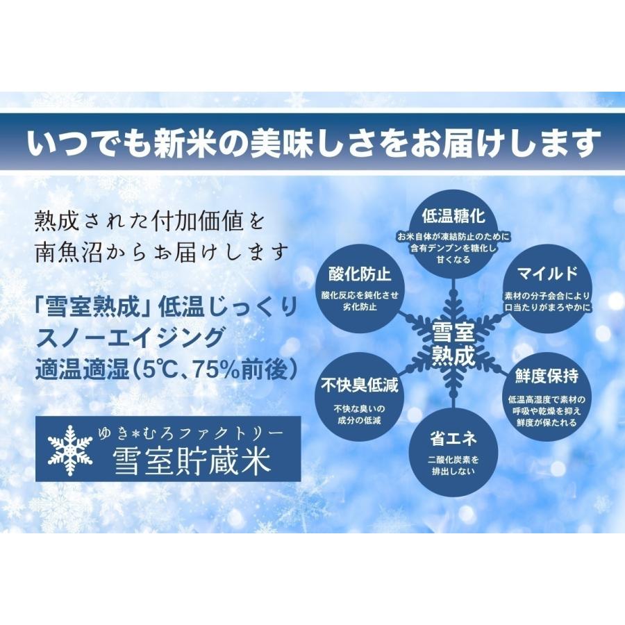 新米販売開始です。　雪室貯蔵米　令和5年産　南魚沼産　ひらくの里ファームさんのつきあかり　慣行栽培米　5ｋｇ　送料無料（本州）