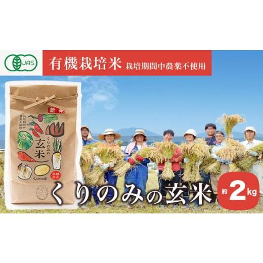 ふるさと納税 長野県 小布施町 ［有機栽培米］くりのみのお米 約2kg ［くりのみ園］お米 米 おこめ 2キロ 長野県産 白米 信州 オーガニック 栽培期間中農薬不…