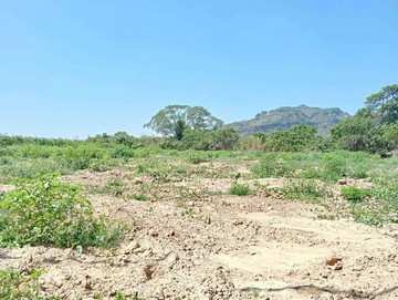 楠西新鹿田農地｜台南市楠西區新鹿田段