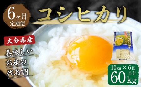 大分県産 コシヒカリ 10kg×6回 計60kg 精米 お米 こしひかり