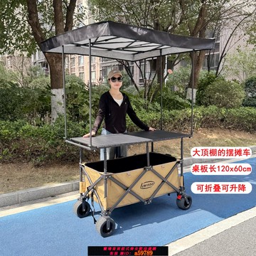 【台灣公司 可打統編】luwinner戶外露營大號擺攤車升級大遮陽棚街邊夜市可折疊收納移動