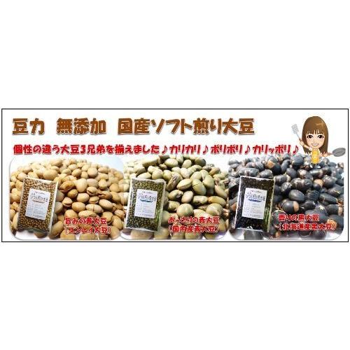 豆力　無添加　国産ソフト煎り大豆　1kｇ