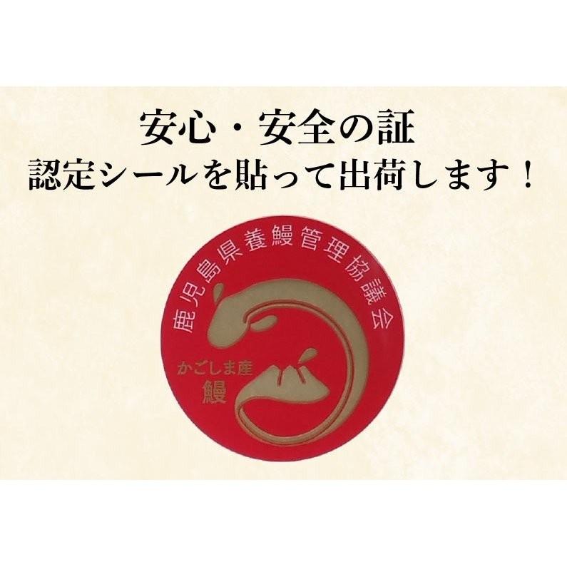 ポイント5倍 母の日  プレゼント うなぎ   60代 70代 鹿児島産 ブランド鰻 極上長蒲焼き4本 ギフトBOX お洒落な専用ギフトBOXでお届け クール