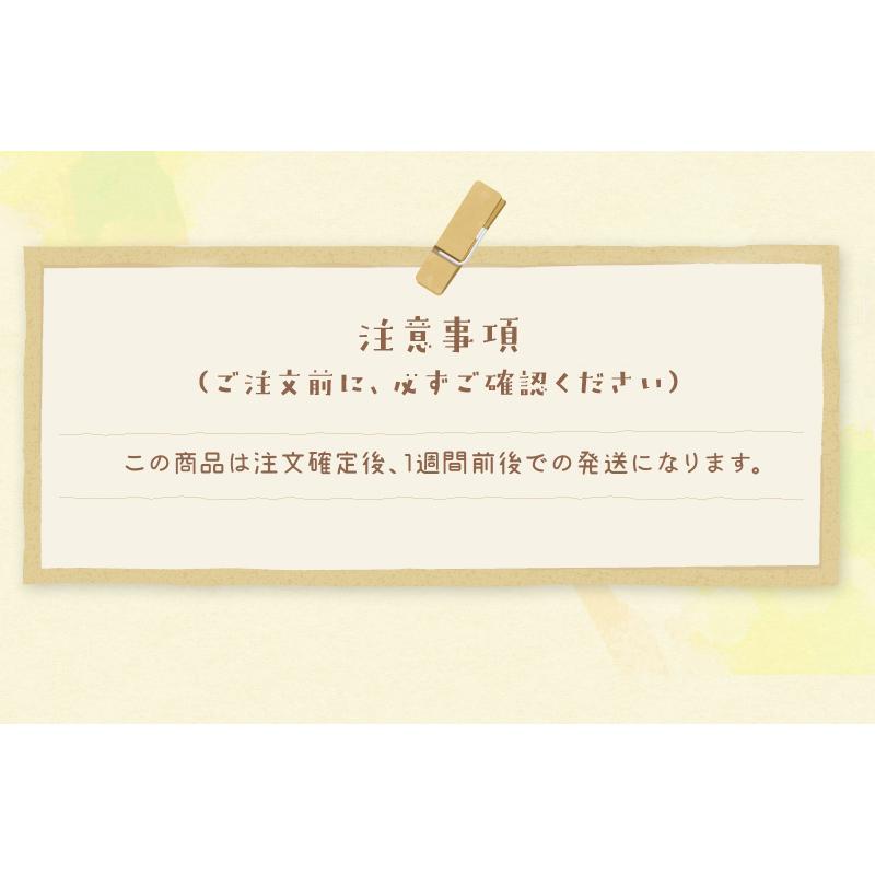 神戸ベイシェラトン ホテル＆タワーズカレー詰合せ   カレー ギフトセット シェラトンホテル 神戸牛カレー 黒毛和牛カレー   山晃食品