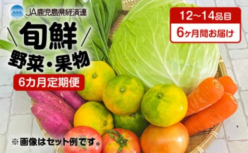 6ヵ月定期便！旬鮮野菜・果物セット（12～14品目）　K072-T01