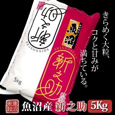 新米 米 5kg 魚沼産新之助 令和5年産 白米 送料無料（北海道・九州・沖縄は除く）離島は発送不可