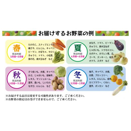 ふるさと納税 大阪府 泉佐野市 泉州野菜 定期便 全3回 15種類以上 詰め合わせ 国産 新鮮 冷蔵