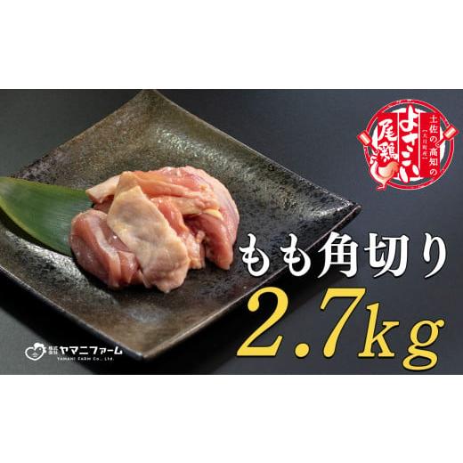 ふるさと納税 高知県 大月町 よさこい尾鶏 もも肉角切り（300g）×9パック