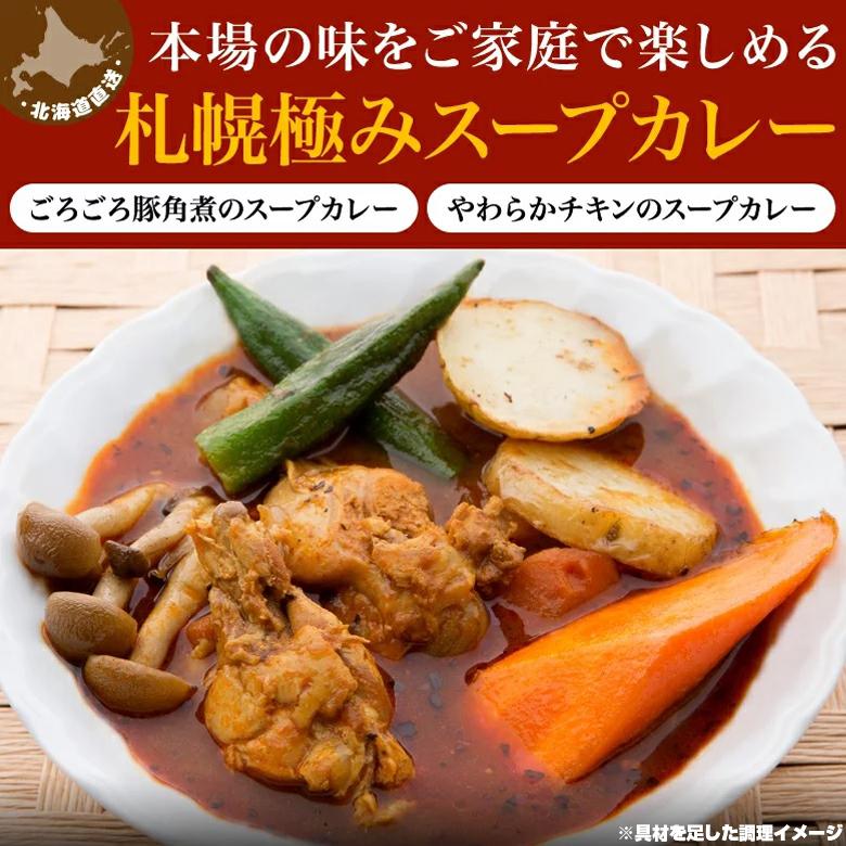 札幌スープカレー 選べる 2食セット 送料無料 チキン 豚角煮 スープカレー 2種類  北海道 スパイス レトルト