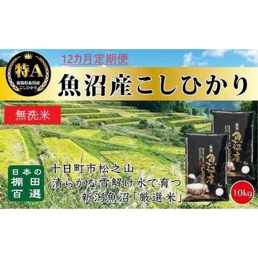 ふるさと納税 新潟県 十日町市 無洗米「12カ月定期便」日本棚田百選のお米　天空の里・魚沼産こしひかり　１０ｋｇ(５ｋｇ×２)×１２回