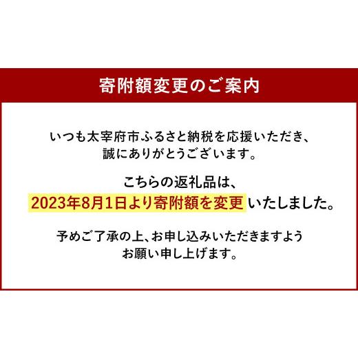 ふるさと納税 福岡県 太宰府市 やまや の 訳あり 明太切子 450gと お米