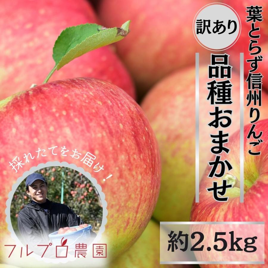 旬のおまかせ 葉とらずりんご 訳あり（無選別）約2.5kg 7〜16玉 食べ比べ 減農薬 長野県産 産地直送 送料無料 #NAX0B025