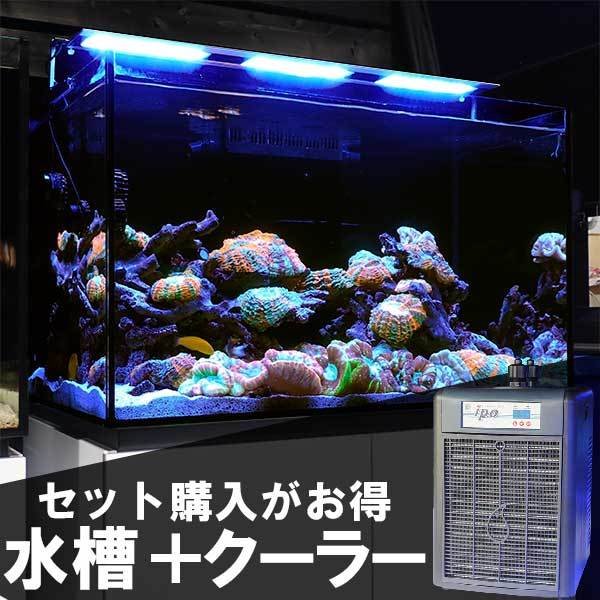 プロテインスキマー　海水魚水槽　オーバーフロー水槽　濾過槽　翌日以内発送